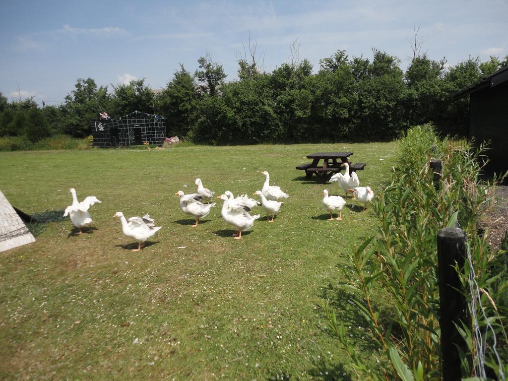 Willow Court Farm The Lodge & Petting Farm, 8 Mins From Legoland & Windsor, 15 Mins From Lapland Uk Екстериор снимка