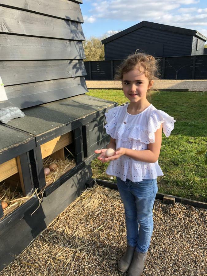 Willow Court Farm The Lodge & Petting Farm, 8 Mins From Legoland & Windsor, 15 Mins From Lapland Uk Екстериор снимка