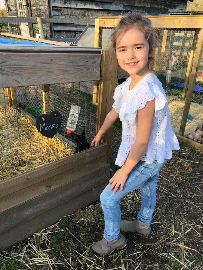 Willow Court Farm The Lodge & Petting Farm, 8 Mins From Legoland & Windsor, 15 Mins From Lapland Uk Екстериор снимка