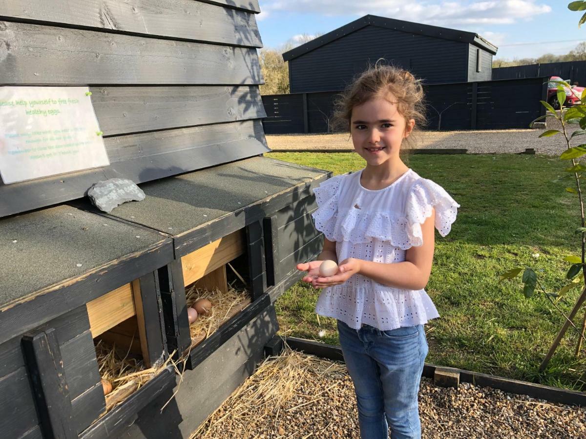 Willow Court Farm The Lodge & Petting Farm, 8 Mins From Legoland & Windsor, 15 Mins From Lapland Uk Екстериор снимка